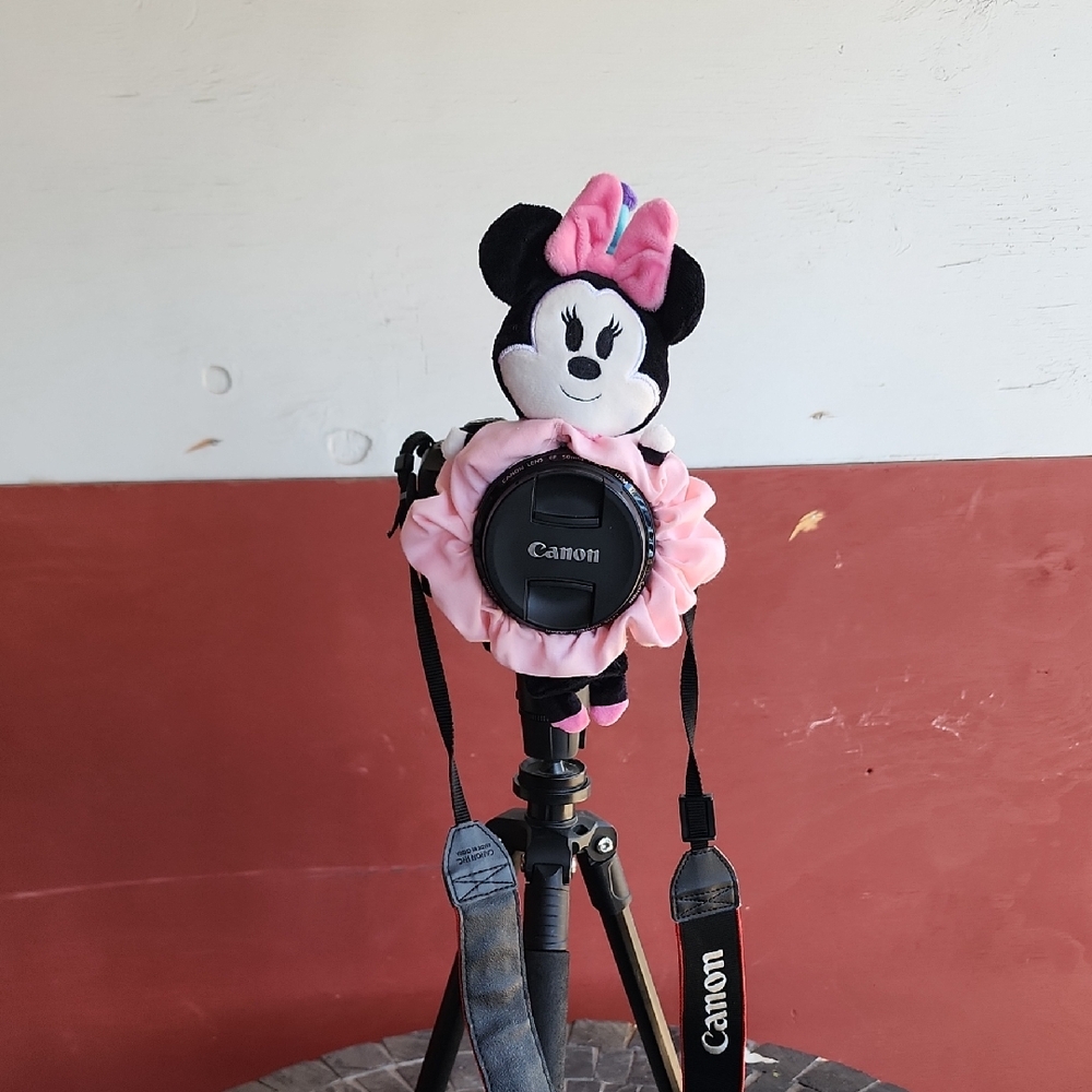 Minnie Mouse Pink Camera Cover